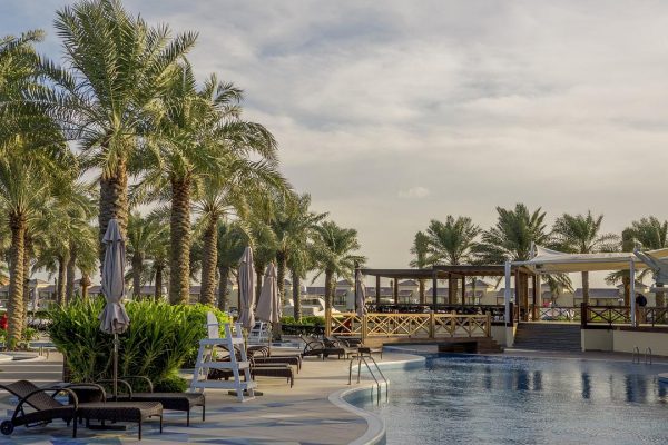 bahrain, palm, tree-1369259.jpg